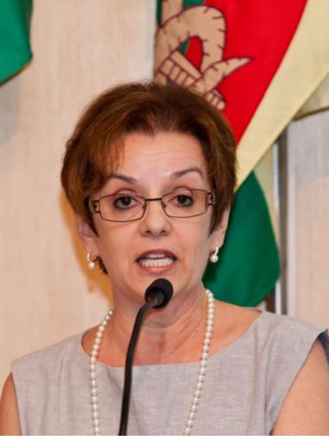 Foto de Denise Elvira Pires de Pires